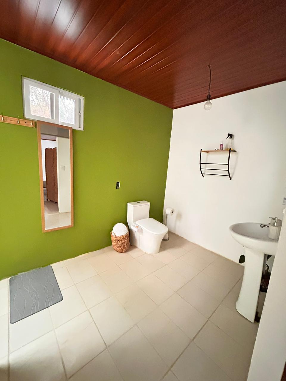Private bathroom with green accent wall and natural light