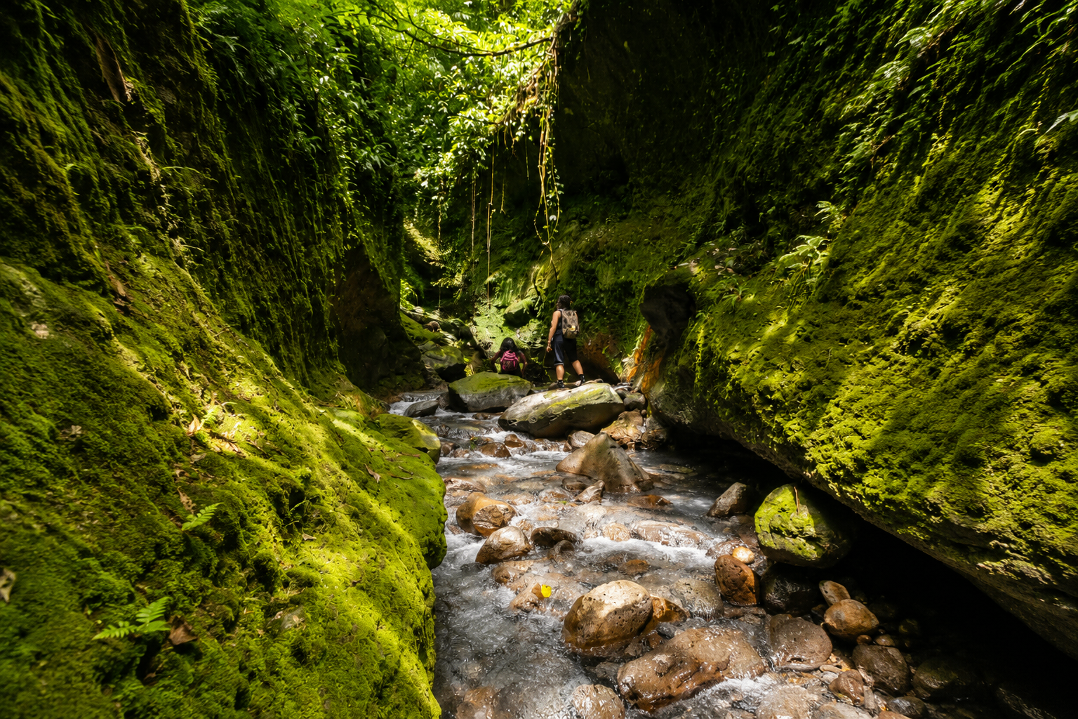 Hikers exploring a mossy jungle canyon stream