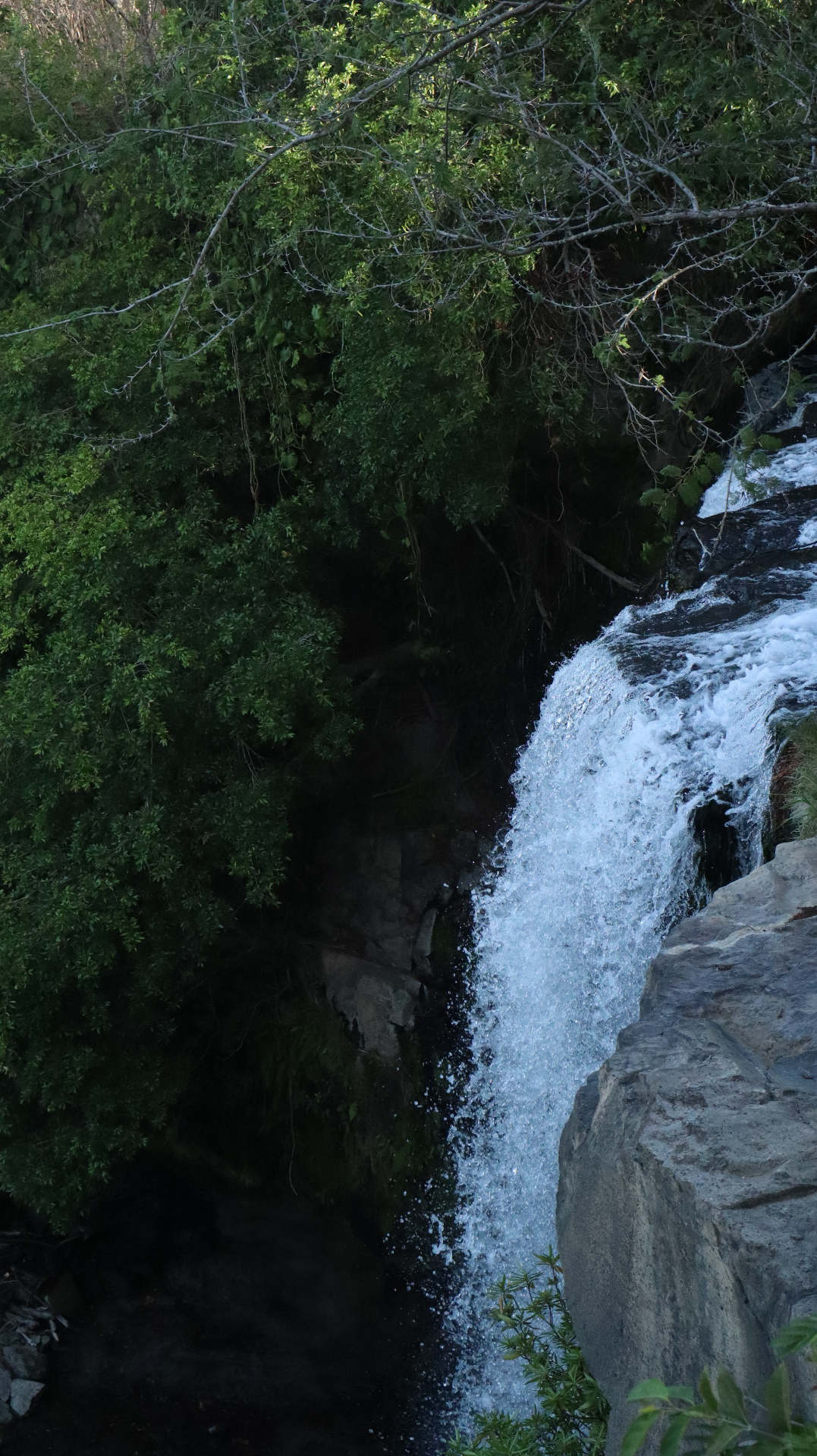 Hidden cascade off the main trail